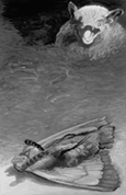 pipistrellus